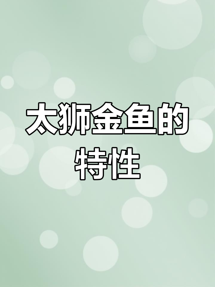 了解太狮金鱼:与蓝寿的区别和养护技巧