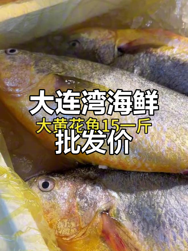 大连湾海鲜市场今日价格,海鱼品种一览