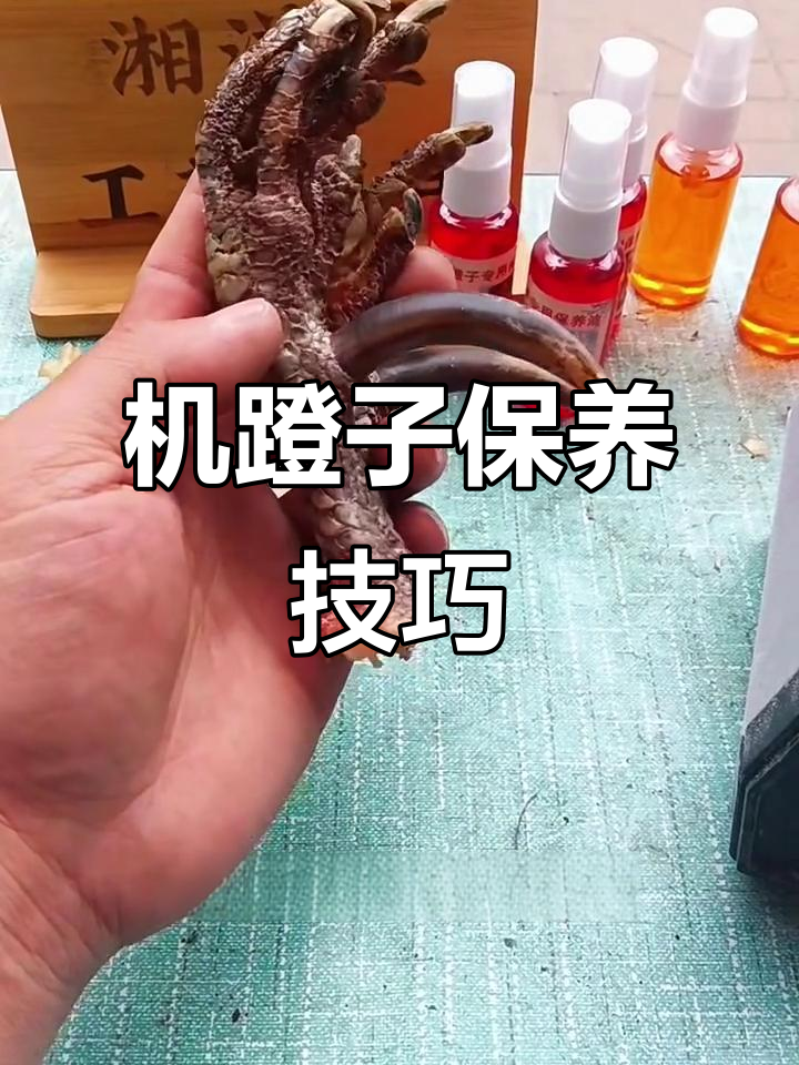 鸡凳子保养全流程,轻松打造完美包浆