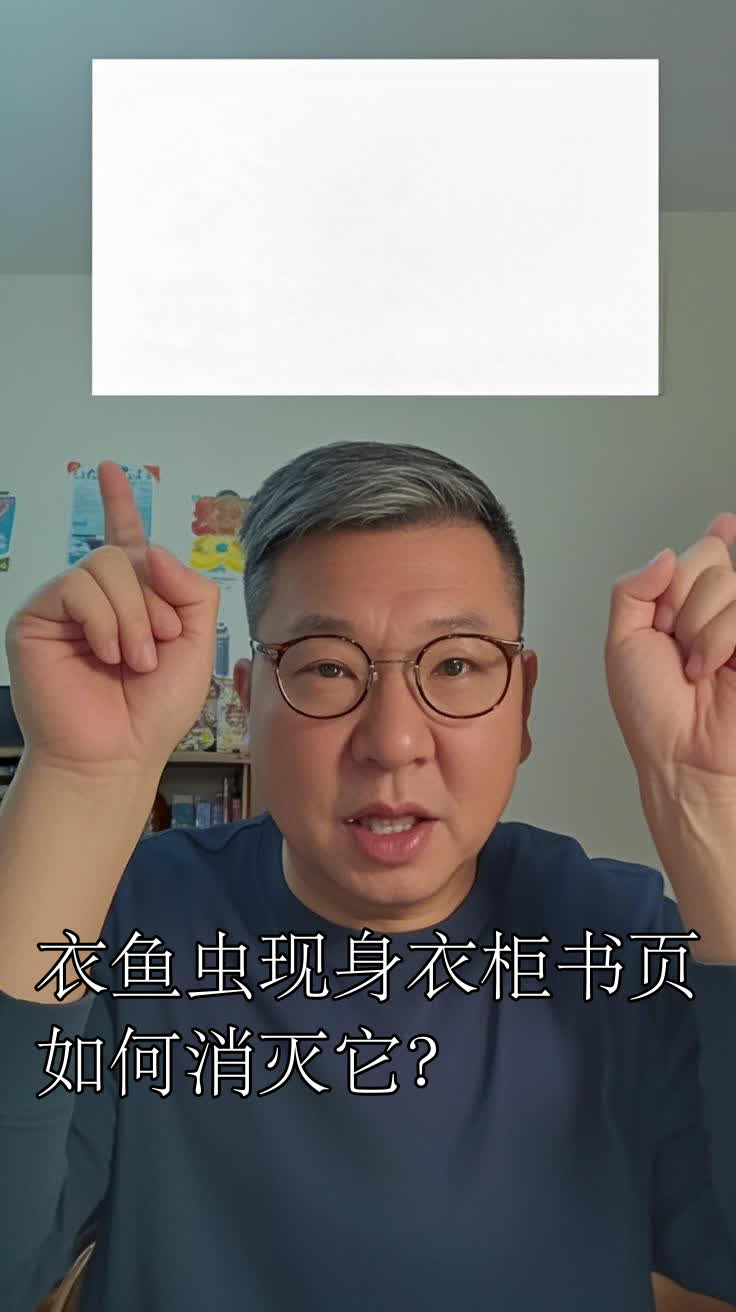 衣鱼虫现身衣柜书页,如何消灭它?