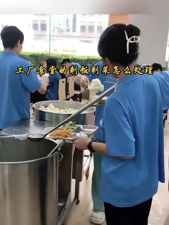 工厂剩饭剩菜哪里去 工厂如何处理剩饭剩菜