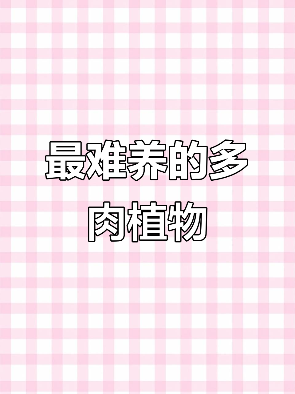 多肉界最难养的四大植物,看看你中了几款?