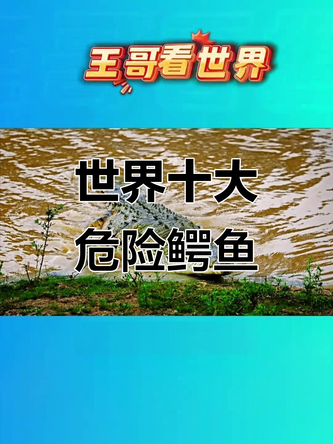 全球九大最凶猛鳄鱼,遇到赶紧跑!