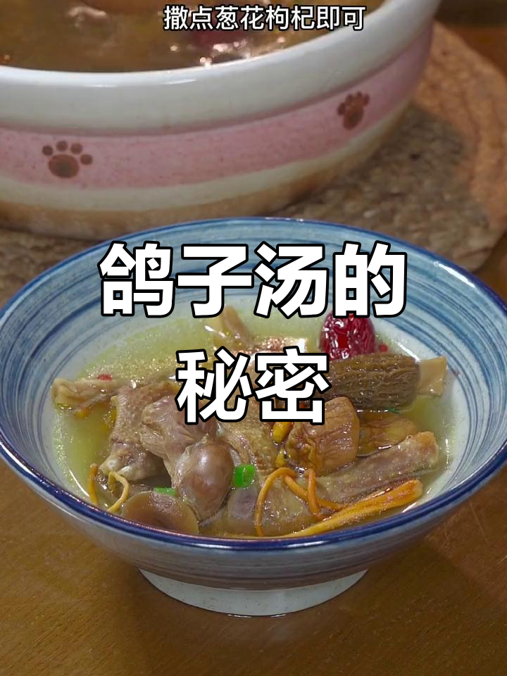 炖鸽子汤，简单几样食材，味道更鲜美！