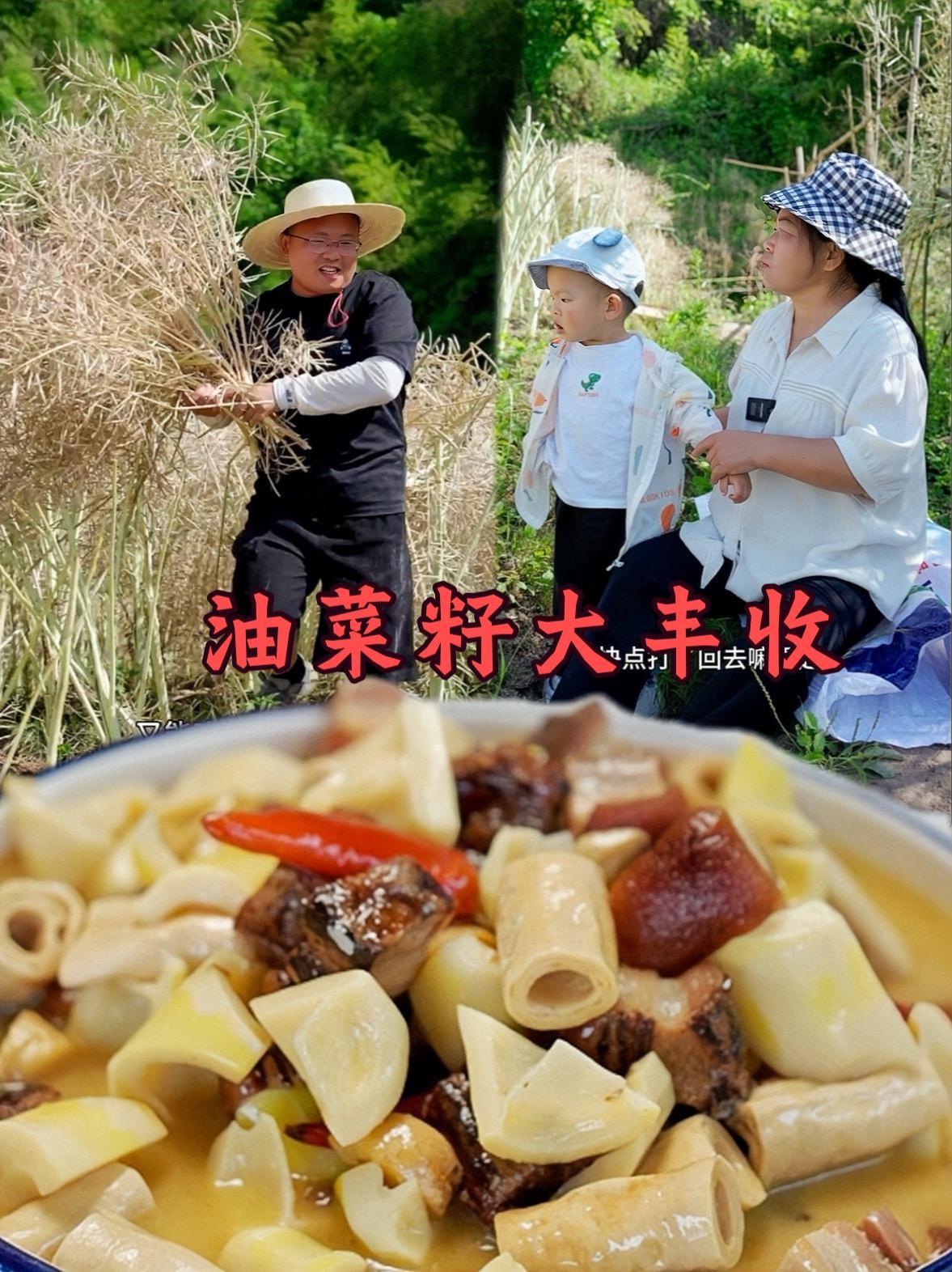 谁知盘中餐，粒粒皆辛苦，每一粒菜籽都是农民用汗水灌溉出来的 每次农村大丰收这几天，就是农民
