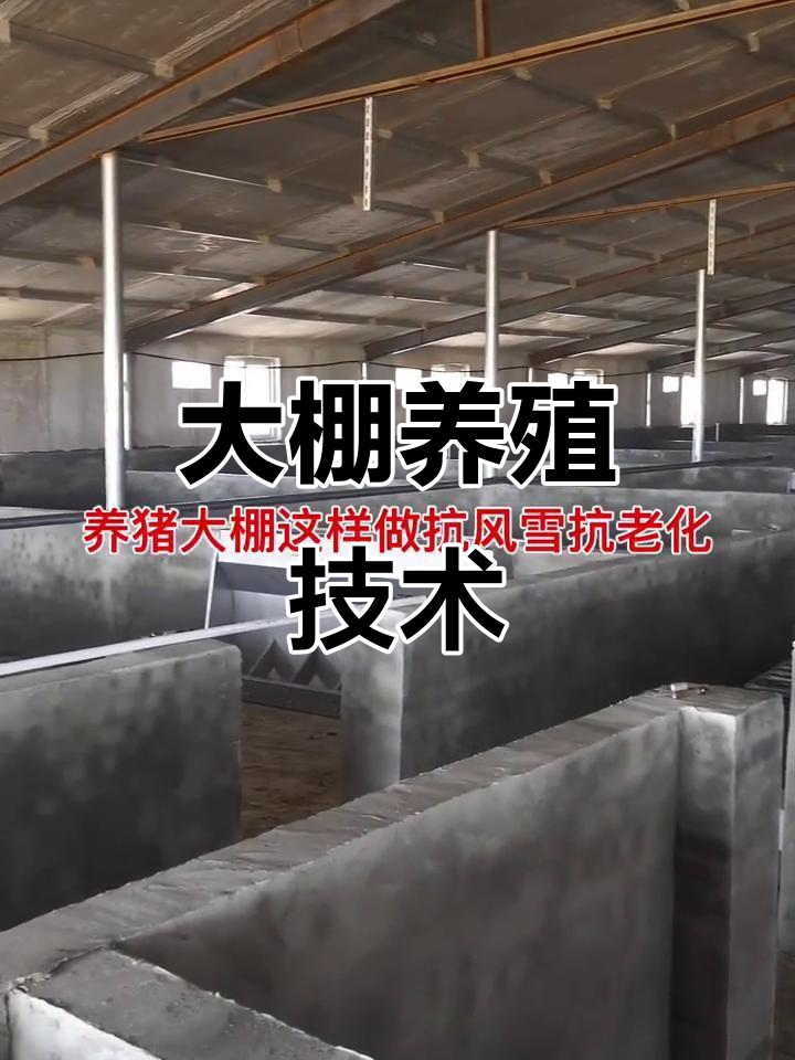 现代农业大棚养殖:育肥猪与肉鸡的智慧管理