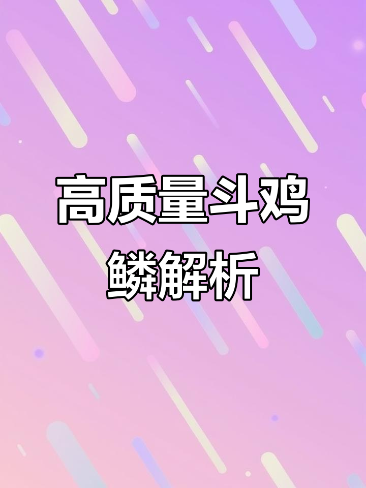 斗鸡鳞片揭秘:玄真鳞与机火直风机的独特对比