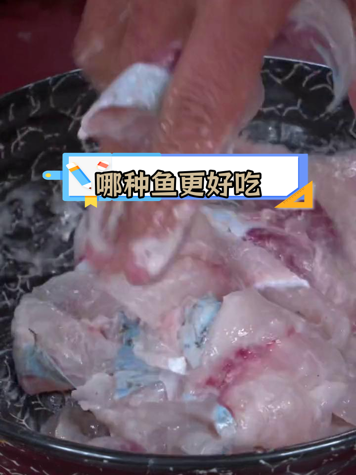 花鲢鱼与白鲢鱼的口感对比
