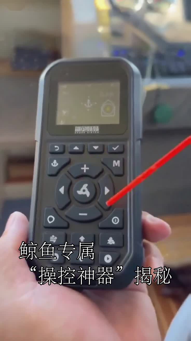 鲸鱼专属“操控神器”揭秘