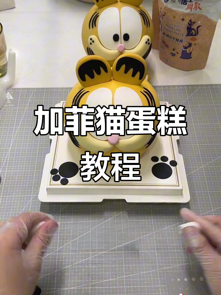 轻松学会制作加菲猫卡通蛋糕，步骤超简单！