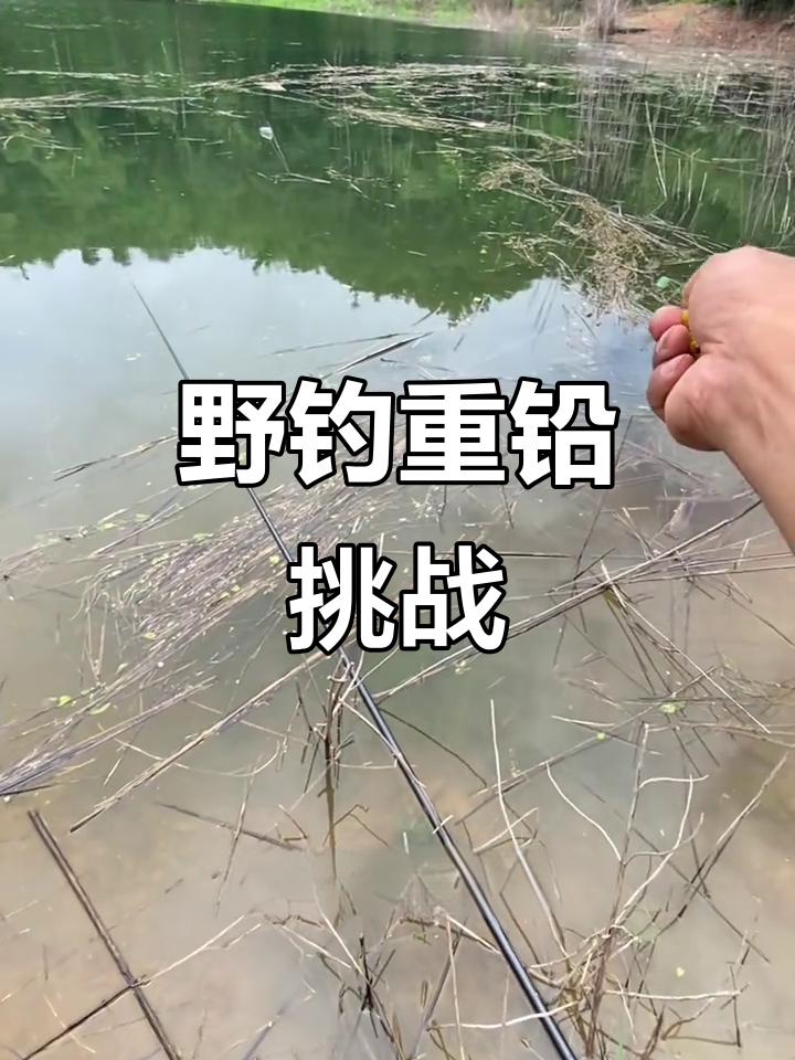 守钓20斤大鲤鱼，浅水玉米诱饵效果惊人