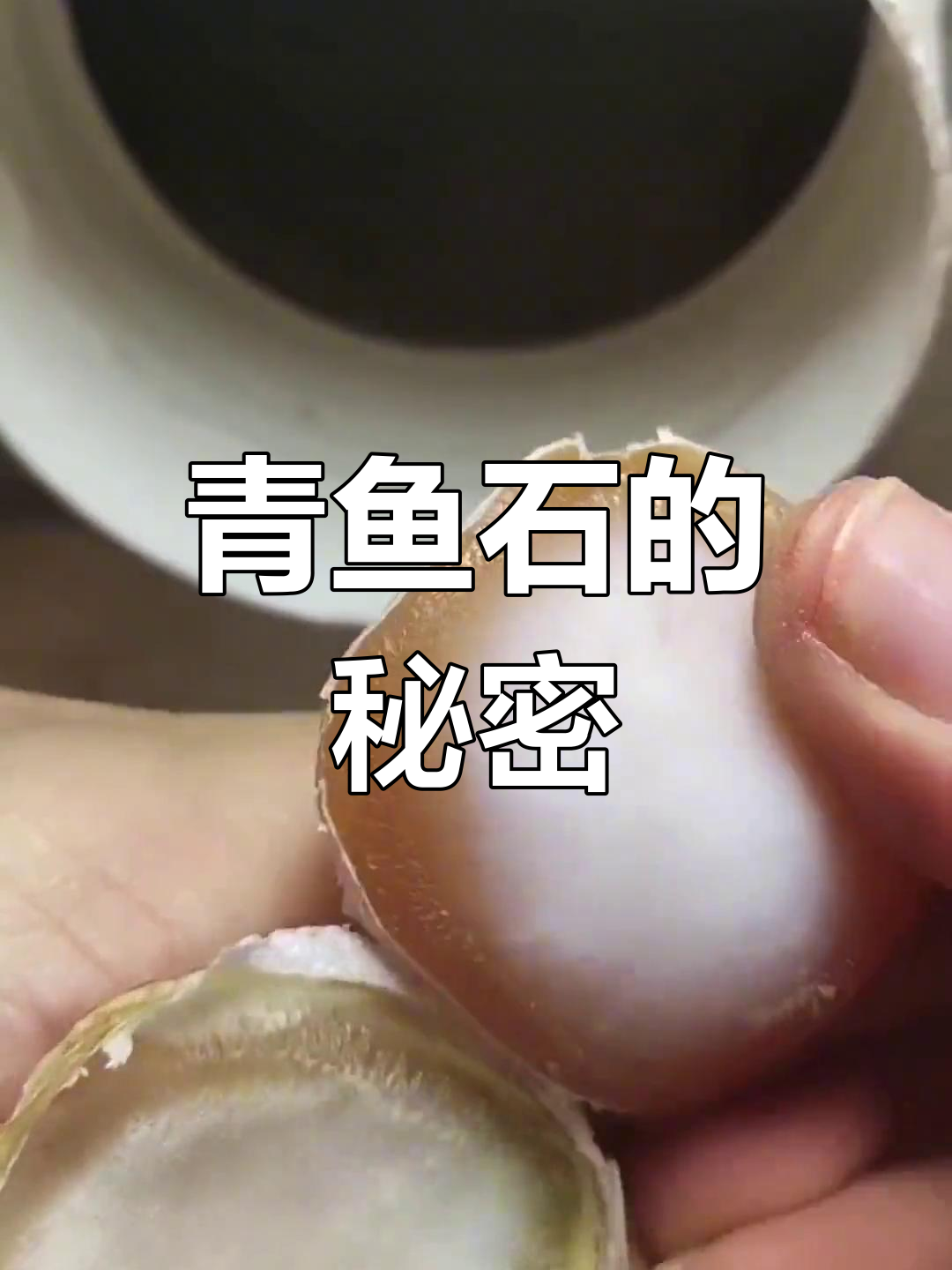 青鱼石:鱼的“活玉”,竟能入药!