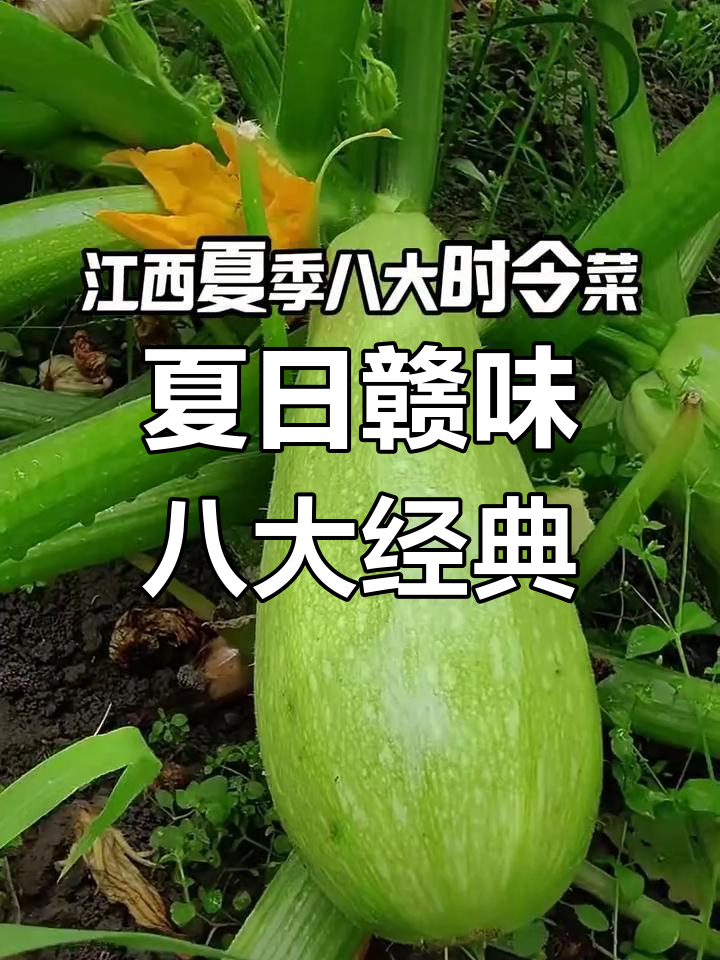 江西夏季必试的8道时令菜,清爽又开胃