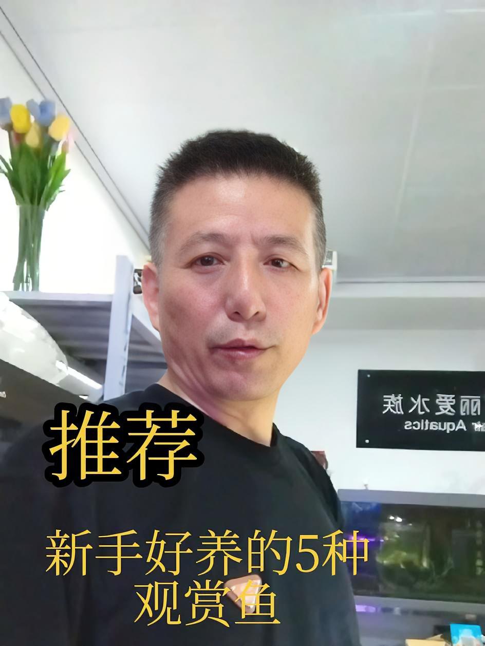 好养又省钱的5种观赏鱼，新手的福音 养鱼日记 观赏鱼 杨凌养鱼新手