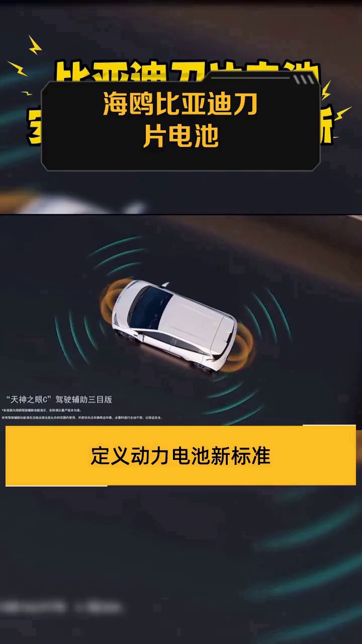 海鸥比亚迪刀片电池