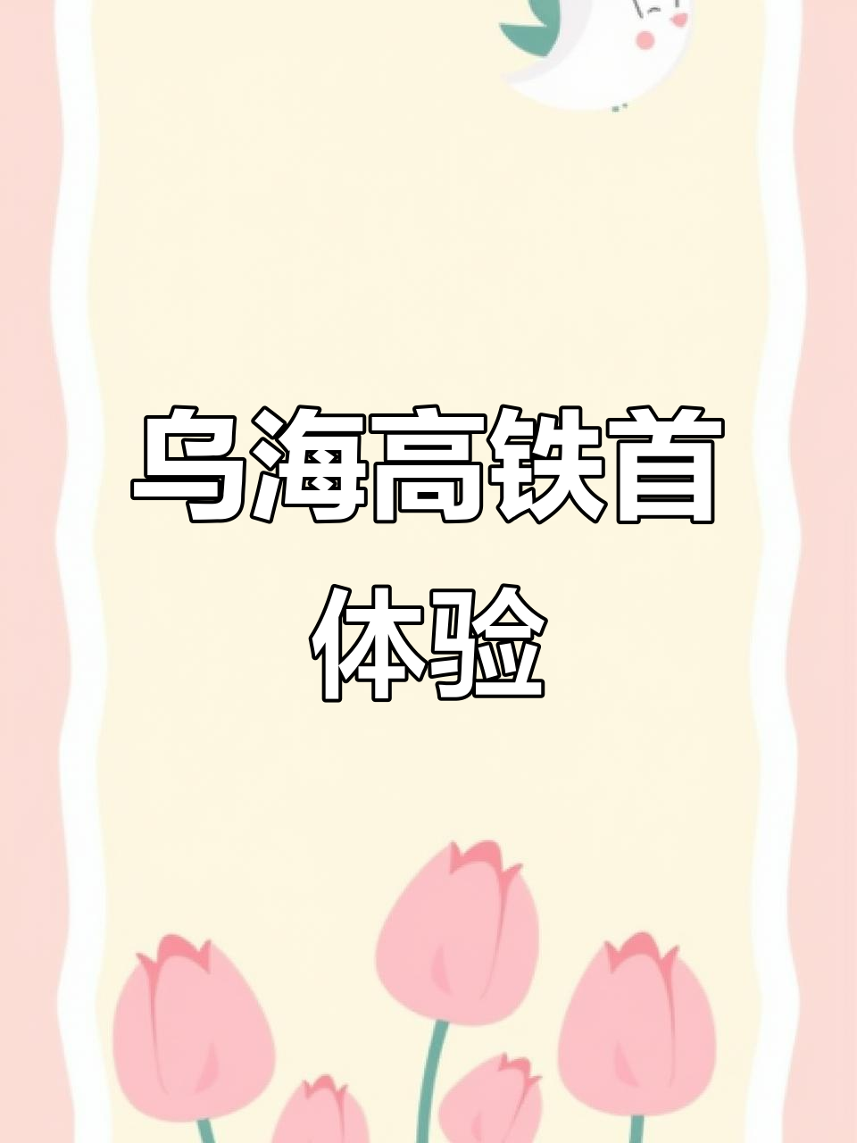乌海高铁首发体验:从海南到乌南站,公交与出租车全程实测