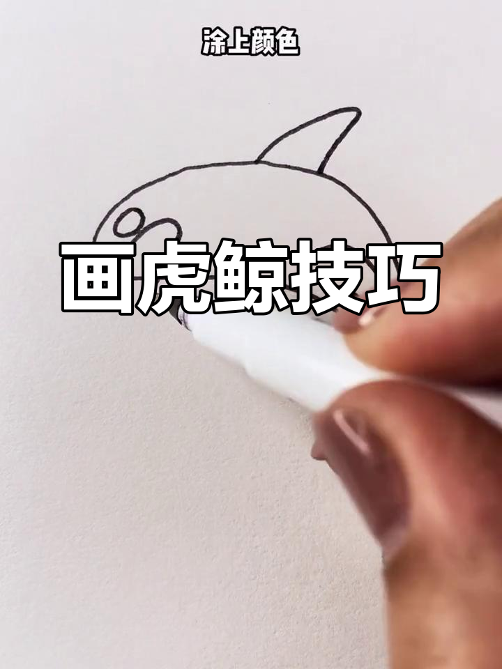 绘制虎鲸简笔画教程