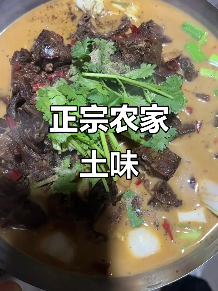 农家土菜大揭秘:黑乌鸡、野生臭鳜鱼,地道美味不容错过