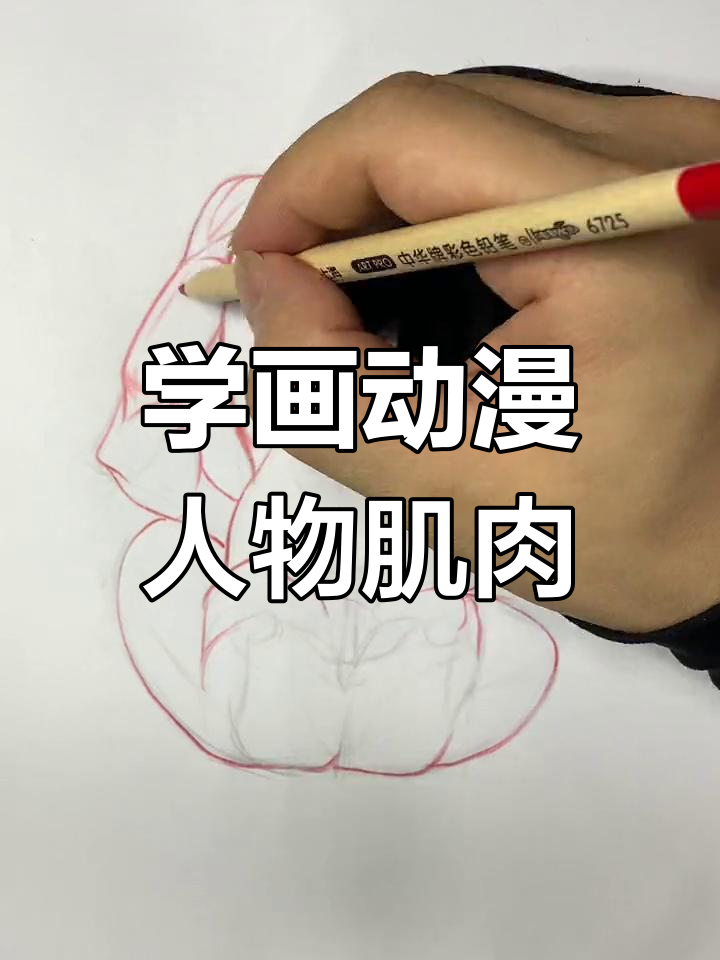 掌握人体比例与肌肉绘制技巧,轻松画出动漫人物