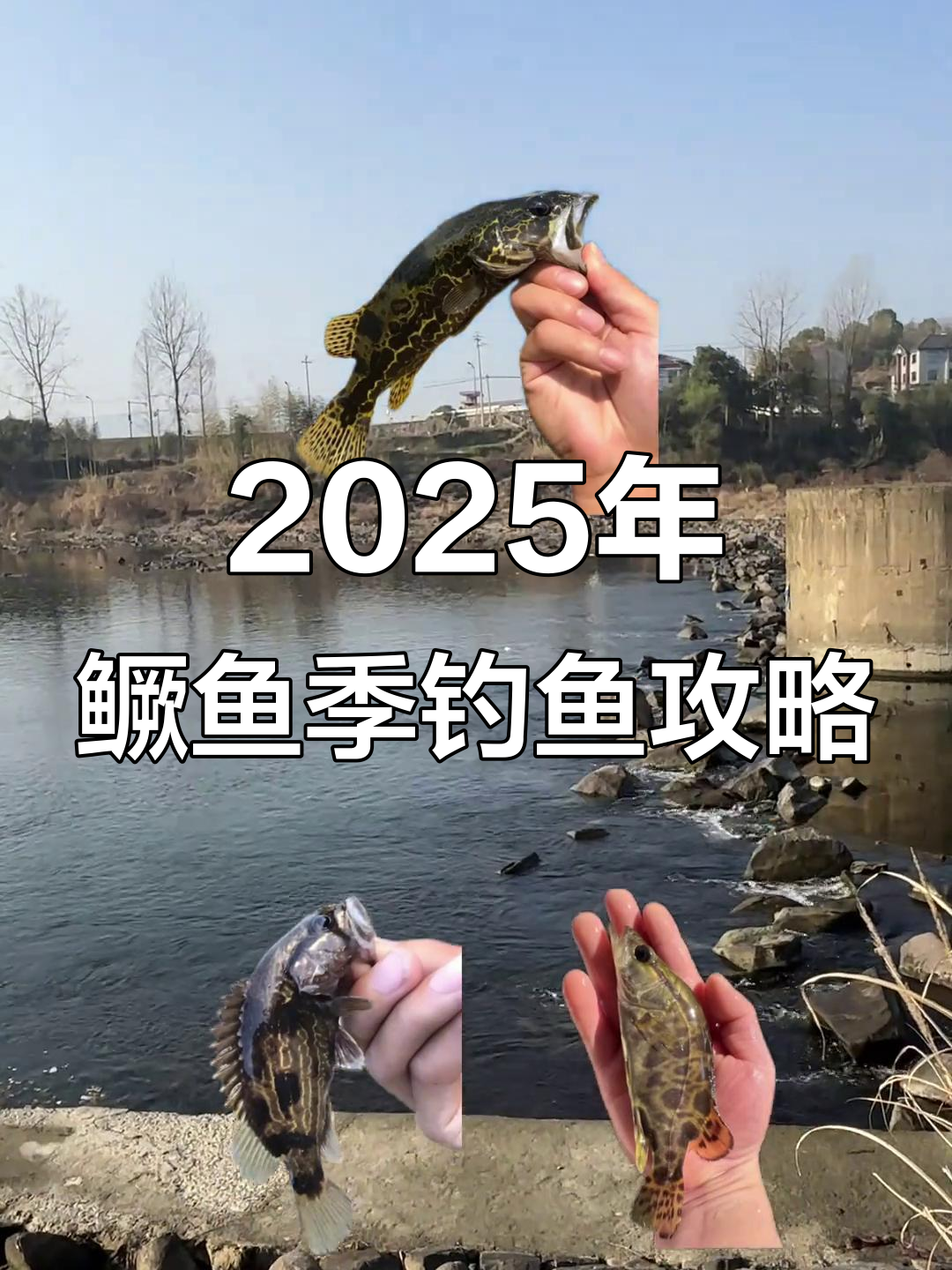 2025浙江鳜鱼标点大揭秘,钓位技巧提前享