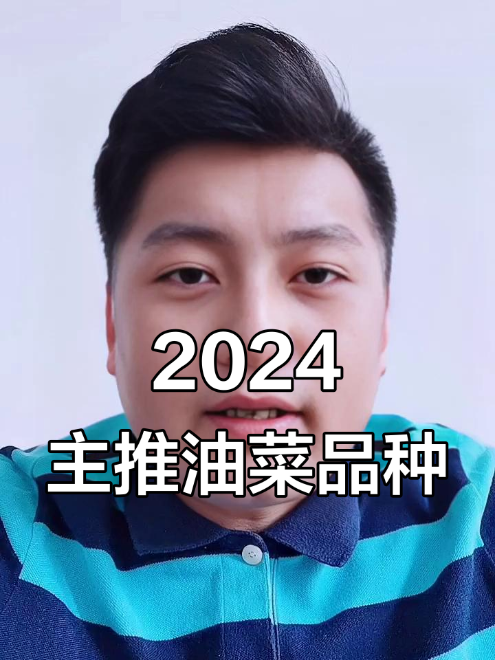 2024全国十大油菜品种推荐,抗寒高产稳产首选