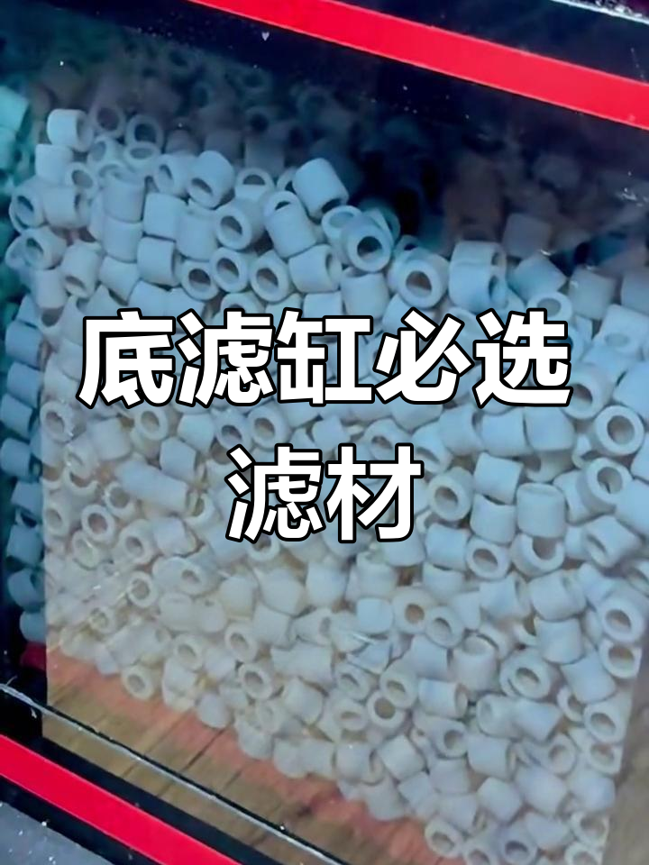 底滤鱼缸必备滤材,选这几种就够了