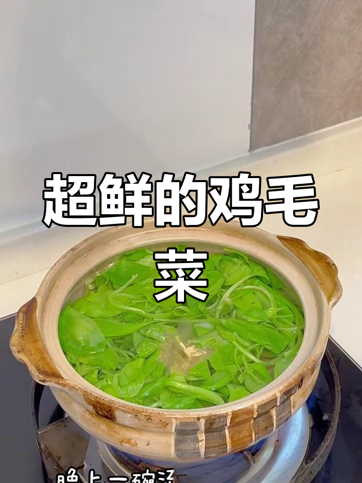 鸡毛菜太鲜了,吃上一口停不下来!