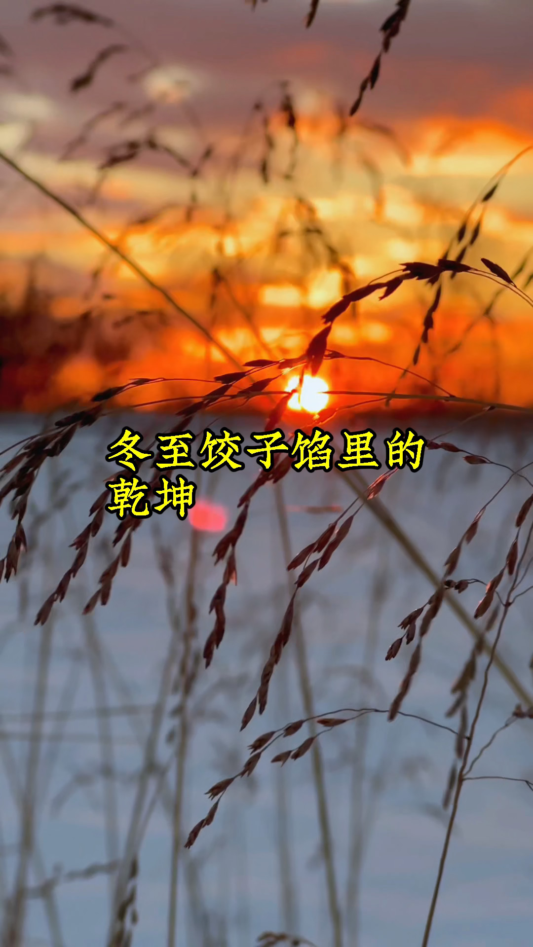 冬至吃饺子，为何北方人讲究馅料丰富