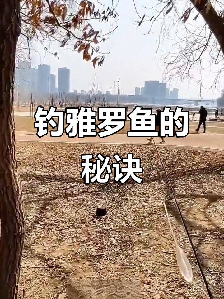 吉林市钓鱼攻略:低温下雅罗鱼是首选,其他鱼类不活跃