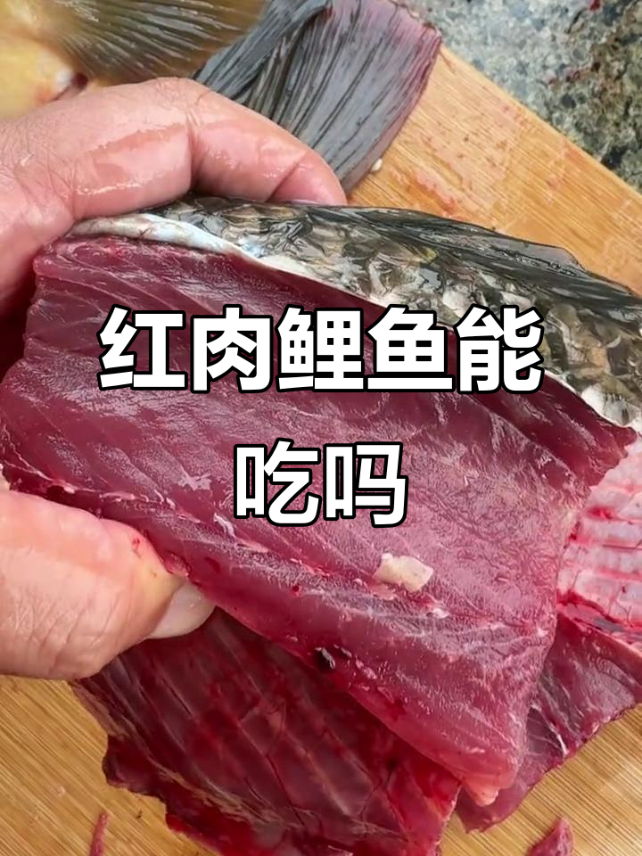 买野生鲤鱼发现鱼肉是红色,能吃吗?