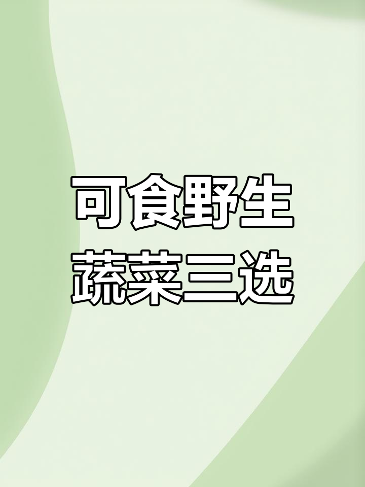 常见可食用野菜大揭秘,农村大自然的馈赠