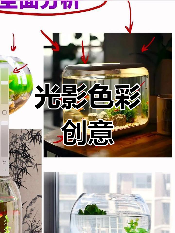 2025年色彩考题:金鱼、水草与假山创作