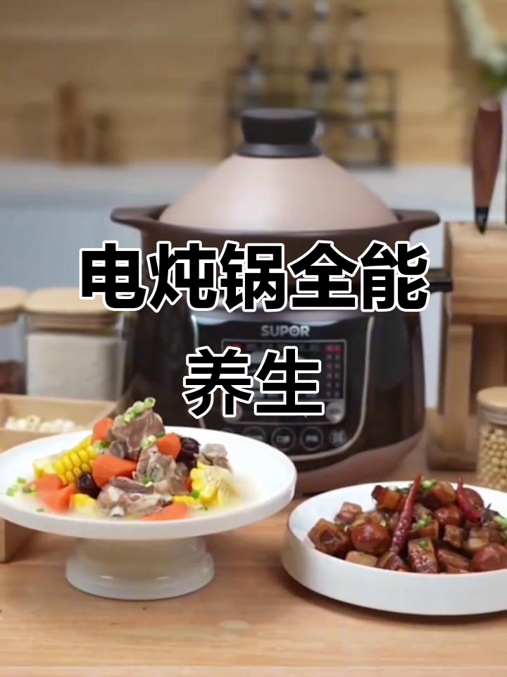 苏泊尔电炖锅,智能预约煲汤熬粥全搞定