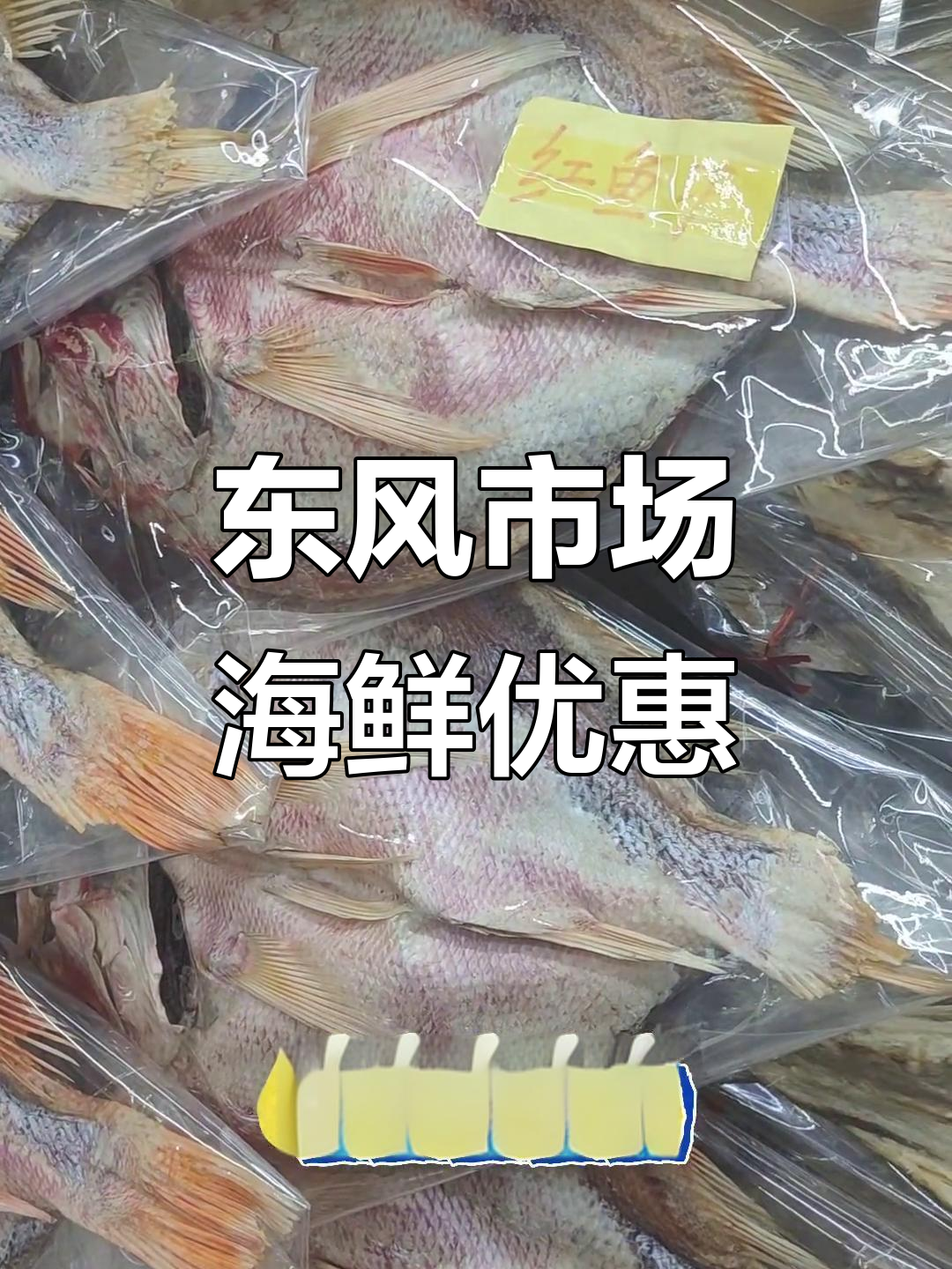 湛江东风市场海鲜大揭秘,黄皮虾超值40元一斤!