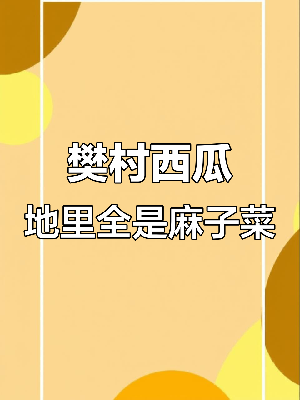 伊川白沙范村西瓜地,麻子菜满地都是!