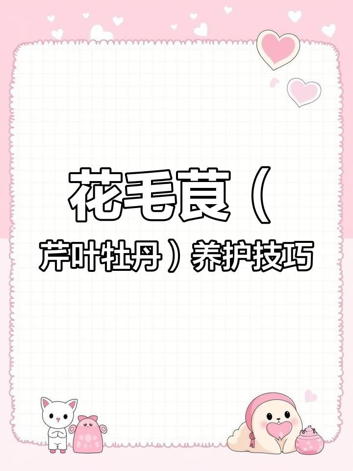 芹叶牡丹:花似牡丹,叶子如芹菜,简单种植开花美