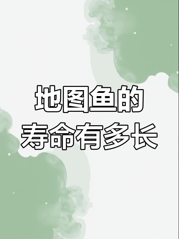 地图鱼能活多久?揭秘它们的寿命秘密