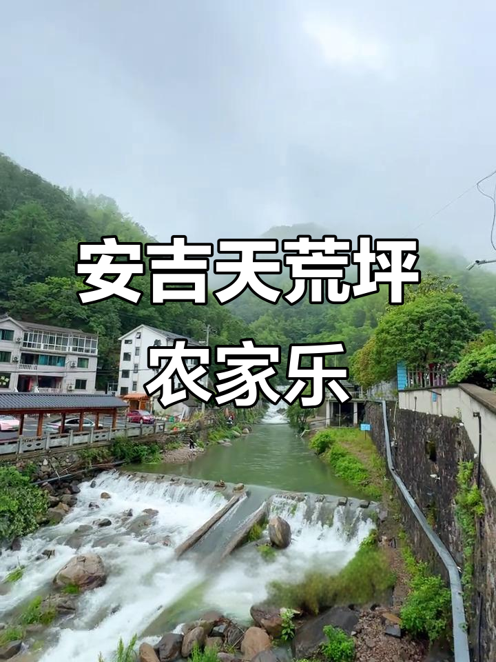 真正的农家乐体验:山腰上的竹林鸡汤与钓鱼乐趣