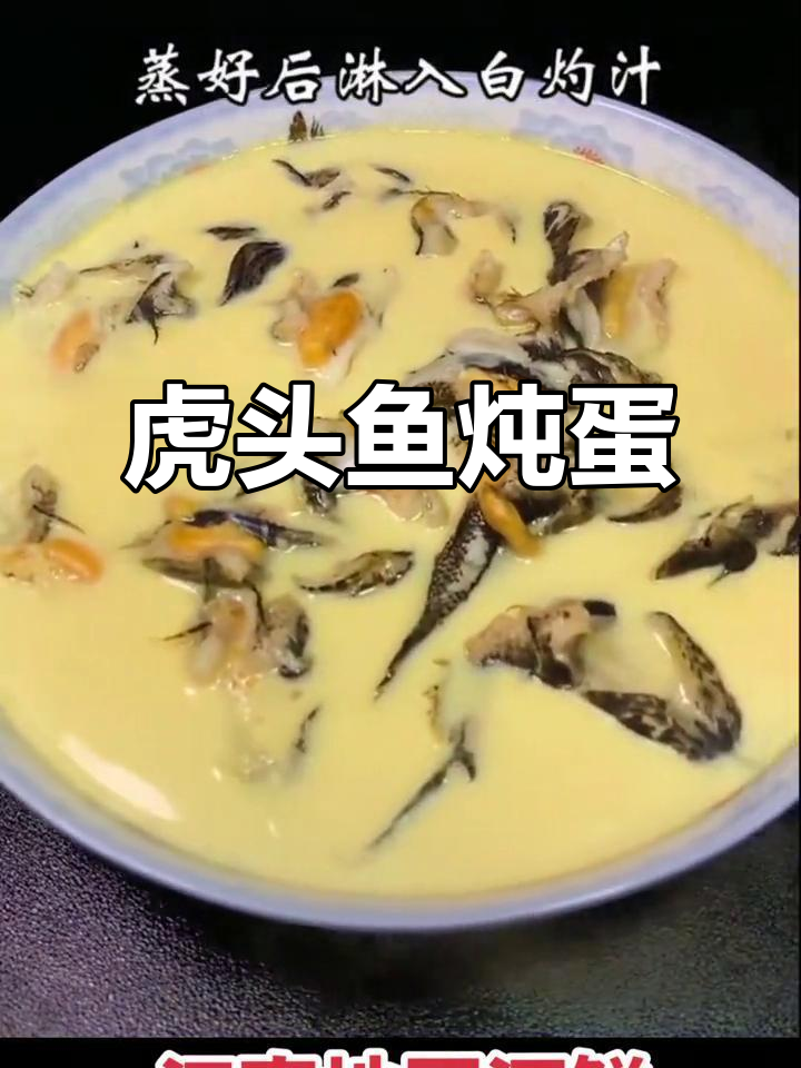 虎头鱼炖蛋，鲜美又营养，滋补美味不可挡