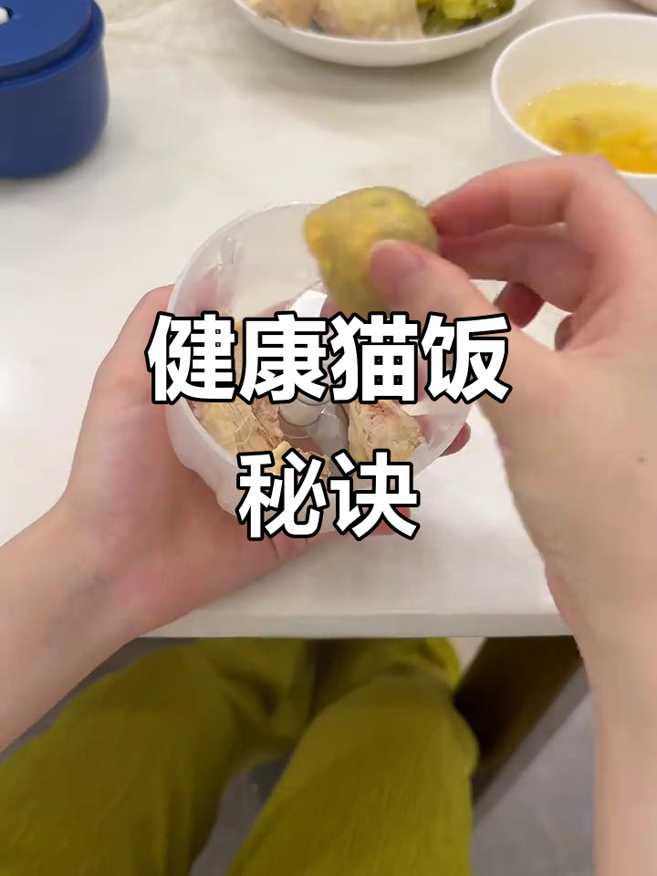 猫咪饮食更健康,简单猫饭轻松做,省钱又补水!