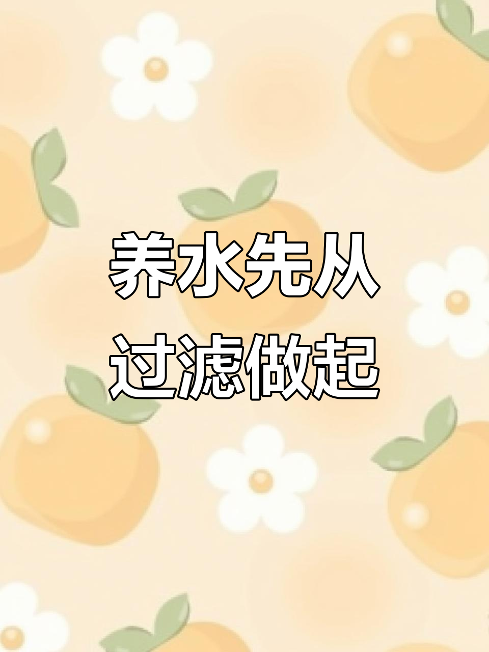 鱼缸水质清澈的秘密：过滤系统全解析
