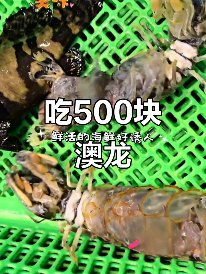 终于吃上这只500多块的澳洲大龙虾,味道超乎想象!