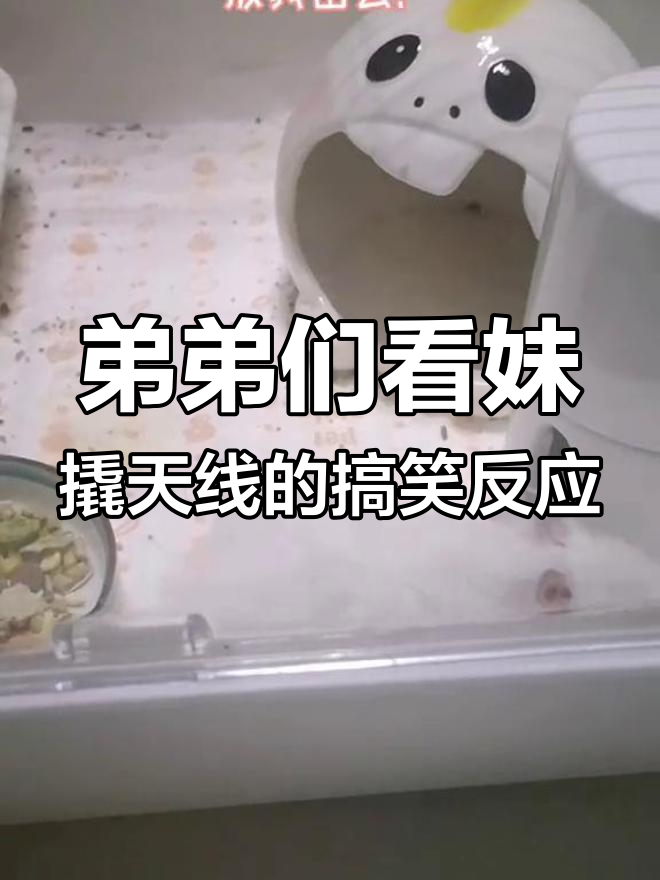 妹妹翘天线,弟弟们的反应太真实了!