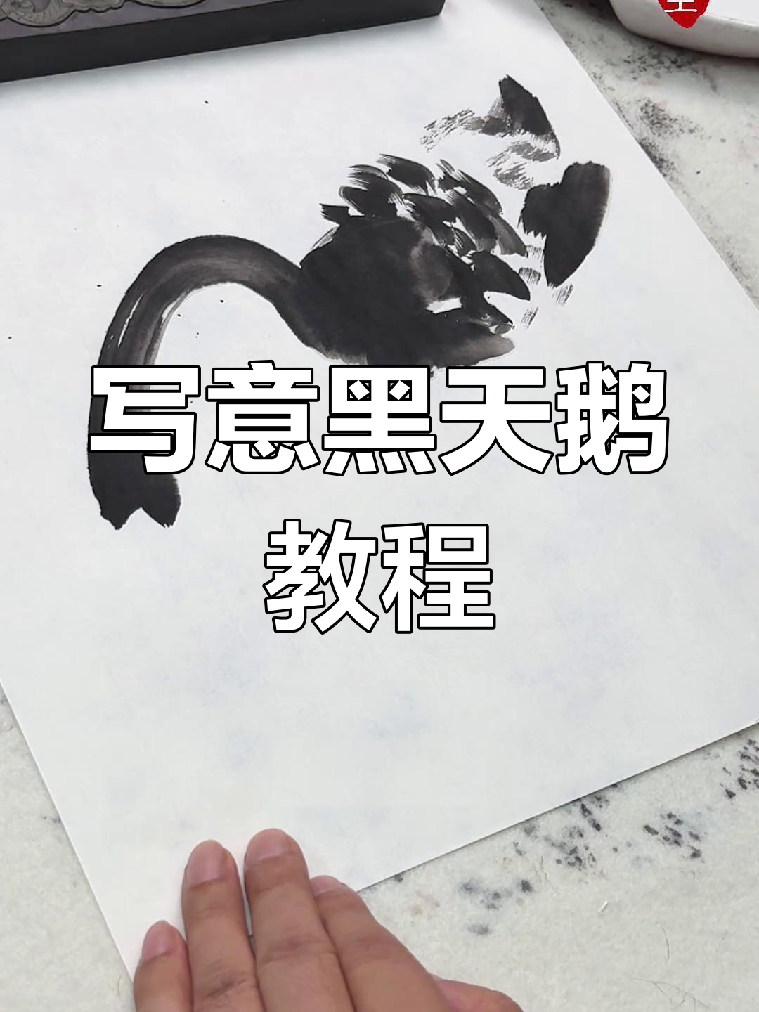 黑天鹅写意画法全解析，掌握这些技巧轻松画出栩栩如生的黑天鹅