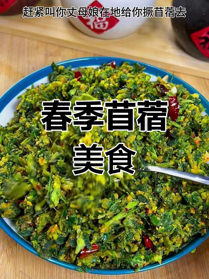 春天美味苜蓿做法,简单又好吃