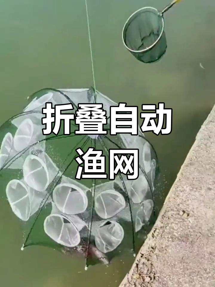 自动折叠渔网,轻松捕虾捞鱼,水库大河必备工具