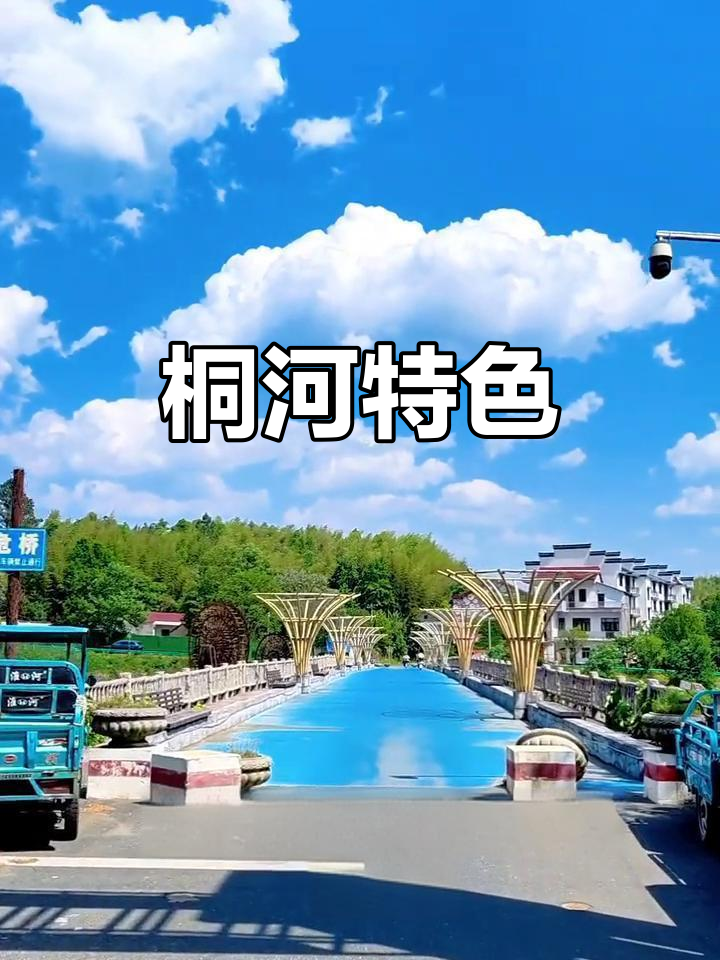 桐河因桐子树与桐花鱼而闻名,是杨滩的独特风景