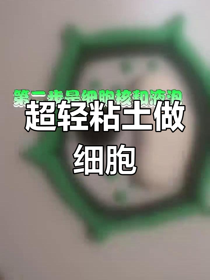 植物细胞粘土模型制作教程