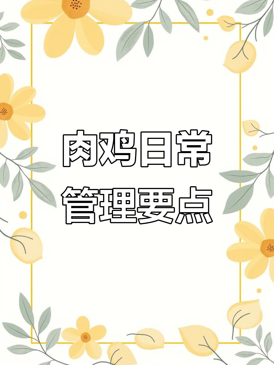 肉鸡8-12日龄管理:温度、湿度控制及控料技巧全解析