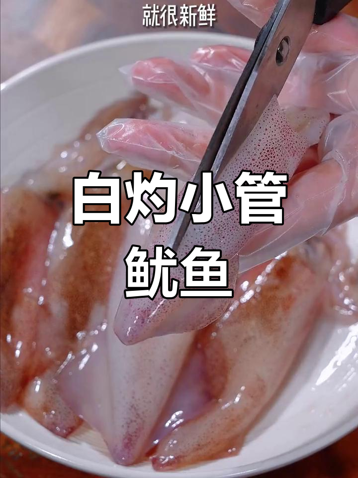 新鲜小管鱿鱼,白灼做法最美味,鲜甜又脆嫩
